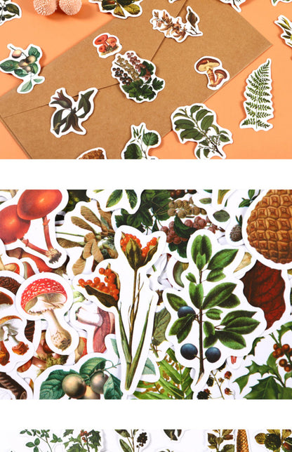 Forest Mushroom Stickers