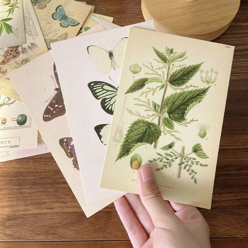 Forest Plant Postcard Wall Decoration