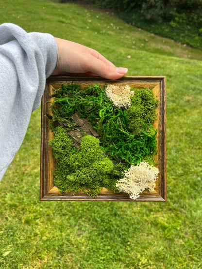 Framed Forest 02