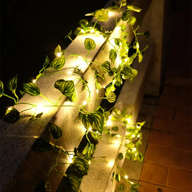 Vine String Lights