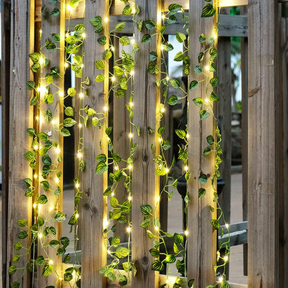 Vine String Lights