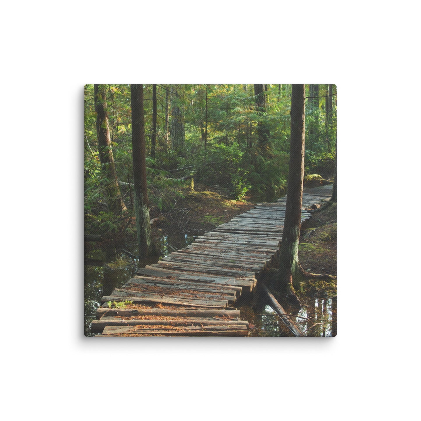 Trail to Nowhere - Canvas Print