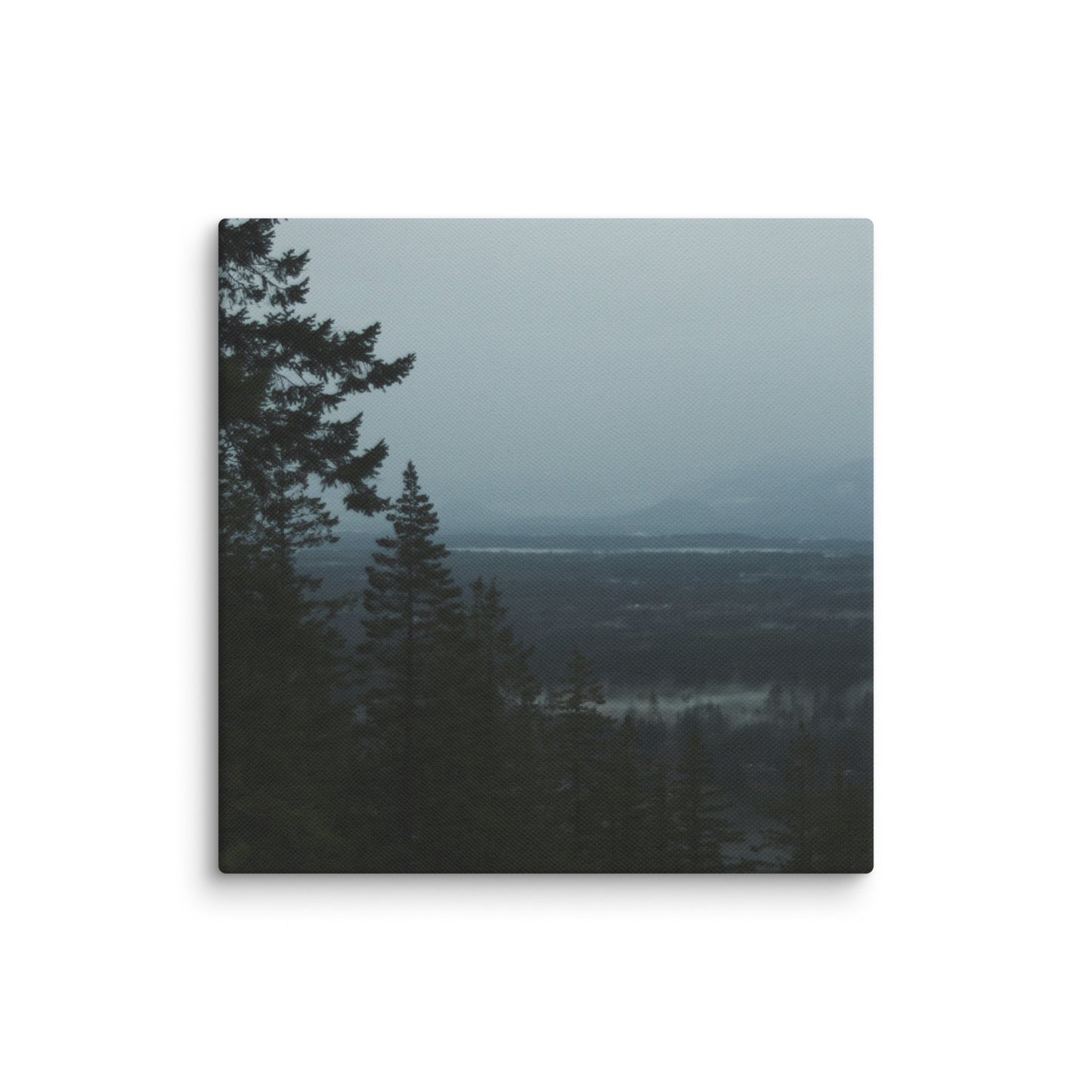 Gloomy Day - Canvas Print