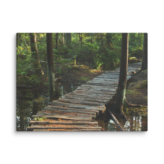 Trail to Nowhere - Canvas Print