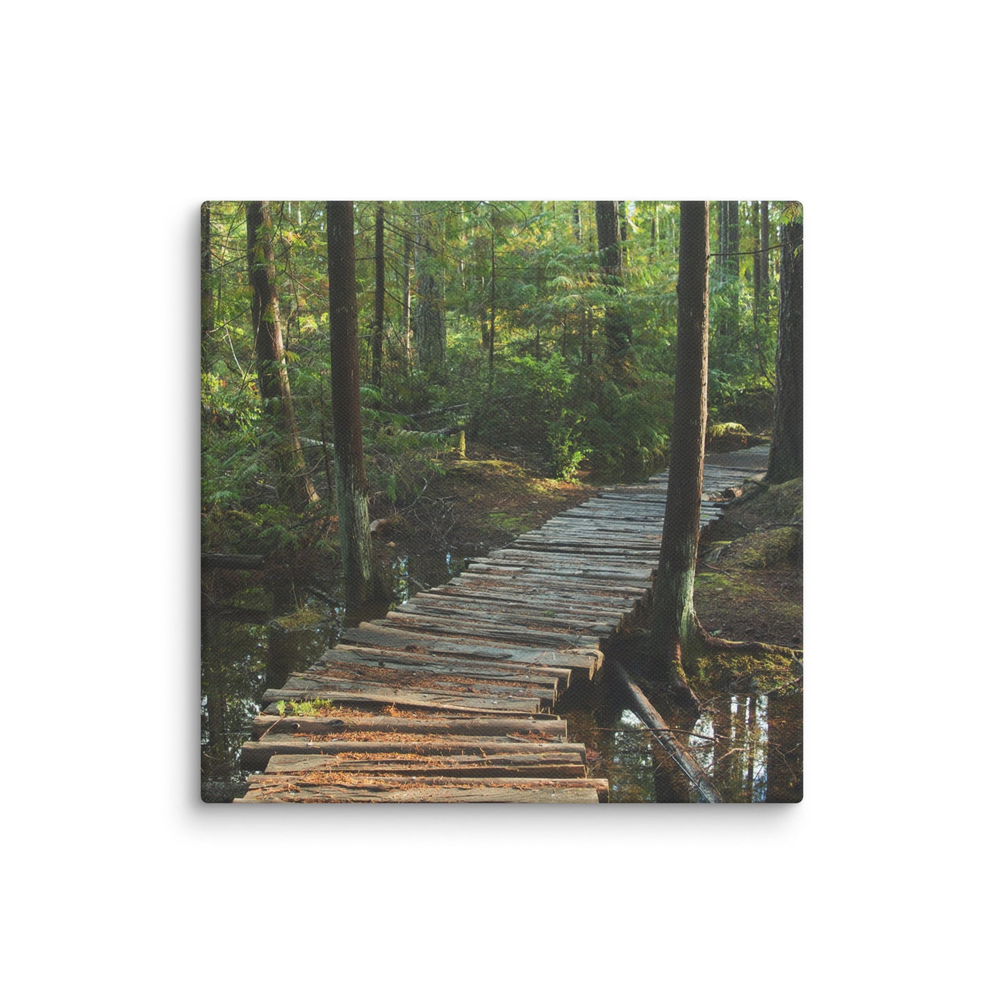 Trail to Nowhere - Canvas Print