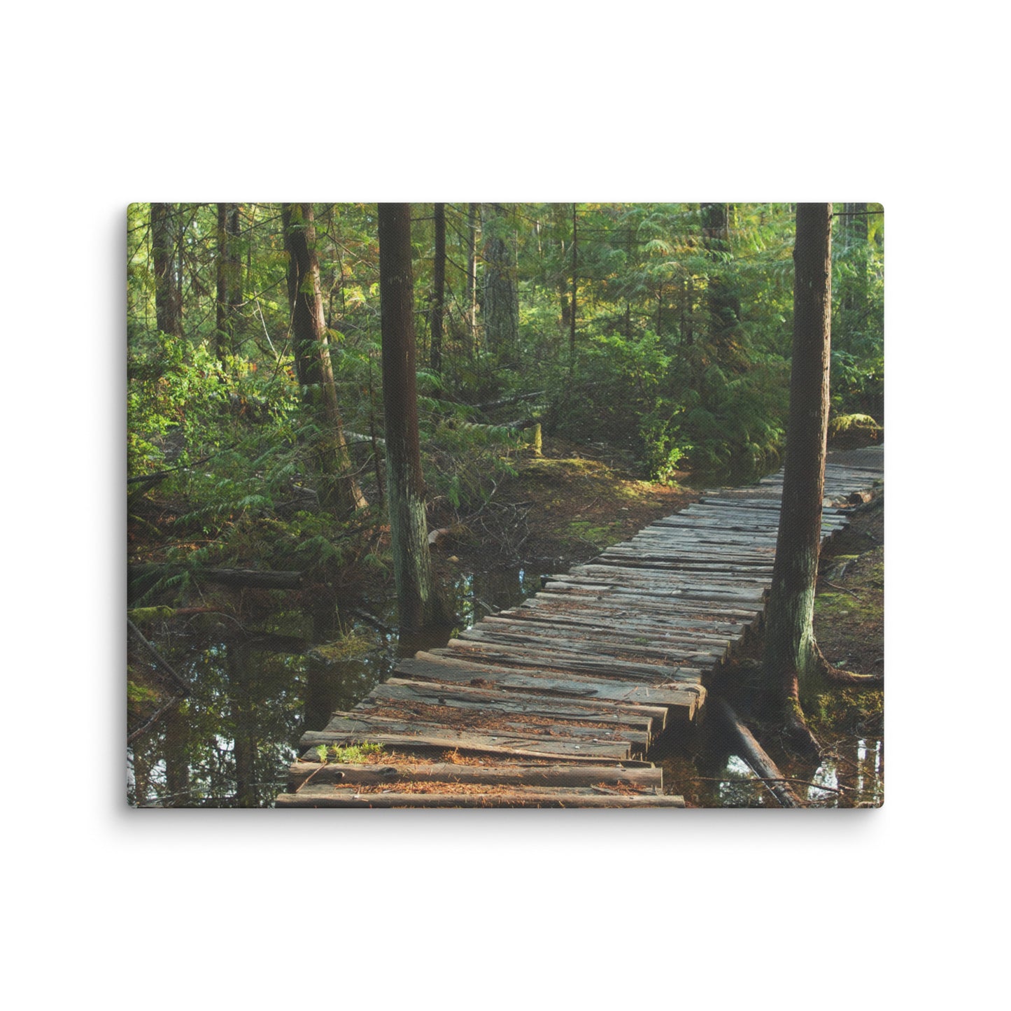 Trail to Nowhere - Canvas Print