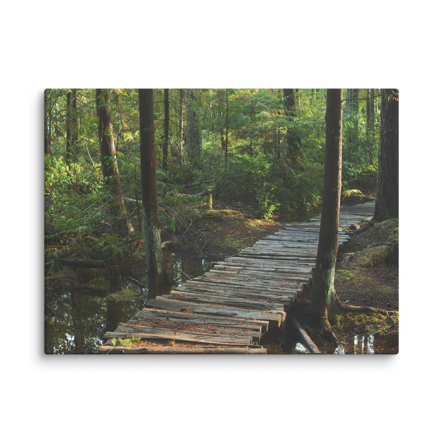 Trail to Nowhere - Canvas Print