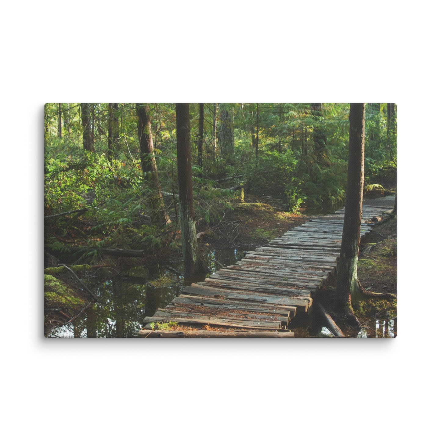 Trail to Nowhere - Canvas Print